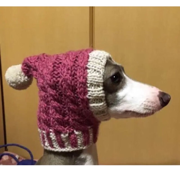 手編み 北欧風 ■ 犬用帽子 スヌード  ■ イタグレ チワワ トイプー 犬 ウエア ニット帽 ポンポン帽子　 5枚目の画像
