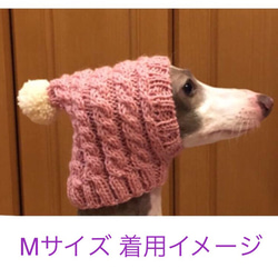 ユミコさま専用■ 犬用帽子 ■ スヌード フレンチブルドッグ ニット帽 ポンポン帽子 フレブル 被り物 ハンドニット 3枚目の画像