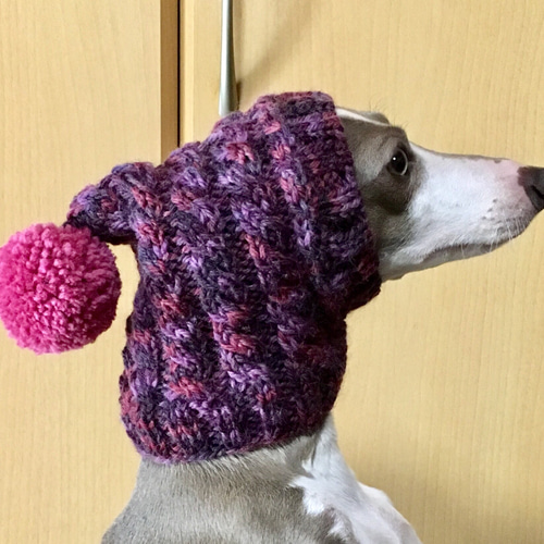 オーダー用デザイン見本 女の子カラー 例 ■ 犬用帽子 ■ ウエア 手編み ⑧