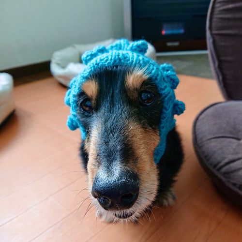 新作♪ 手編み □ ぽこぽこ 水玉 の ニット帽 □ ホッブルのスヌード