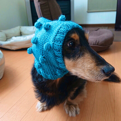 ひろよ様専用 おまとめ 犬用帽子 ニット帽 犬用服 イタグレ服