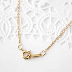 coin necklace H (gold plating)【受注生産】 4枚目の画像