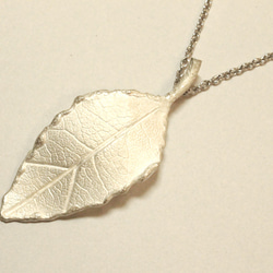 H様オーダー用ページ／leaf vein necklace (rhodium plating) 2枚目の画像