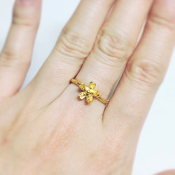 sakura ring  (gold plating) 第5張的照片