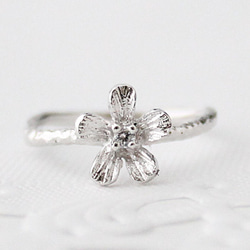 Petit fluer ring (one/rhodium plating) 第1張的照片