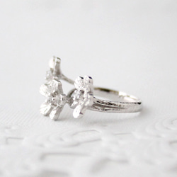 Petit fluer ring (three/rhodium plating) 第2張的照片