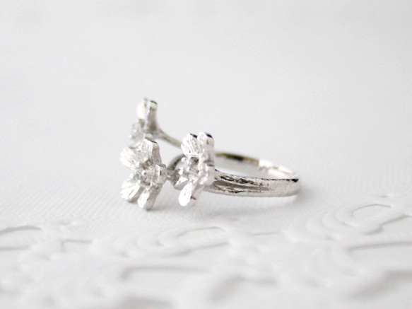 Petit fluer ring (three/rhodium plating) 第2張的照片