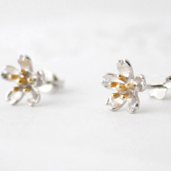 sakura pierce  (rhodium＆gold plating) 1枚目の画像