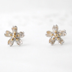 sakura pierce  (rhodium＆gold plating) 2枚目の画像