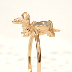 Dachshund & aquamarine ring(pink gold plating) 第5張的照片