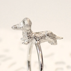 Dachshund ring (rhodium plating) 第3張的照片