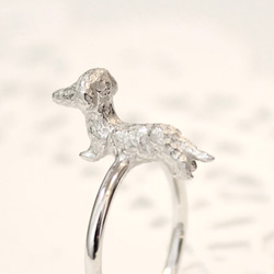 Dachshund ring (rhodium plating) 第4張的照片