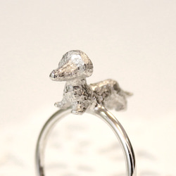 Dachshund ring (rhodium plating) 第5張的照片