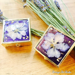♥ Miss Granger ♥  ☆藍紫色千鳥草胭脂盒/飾品盒 Larkspur Rouge Box☆ (內格可拆) 第4張的照片