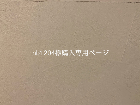 nb1204様購入専用ページ 1枚目の画像