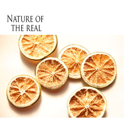 天然のナチュラルオレンジドライ３ 1枚目の画像