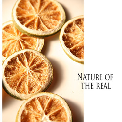 天然のナチュラルオレンジドライ３ 2枚目の画像