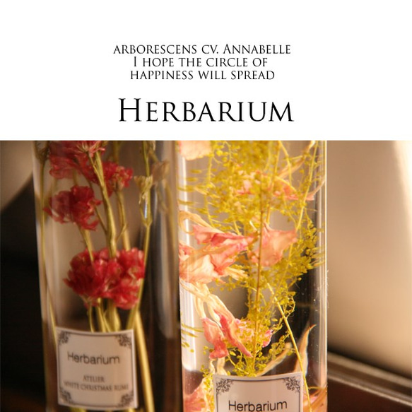 ふんわりと優しい花びらのハーバリウム 4枚目の画像