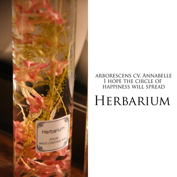 ふんわりと優しい花びらのハーバリウム 5枚目の画像