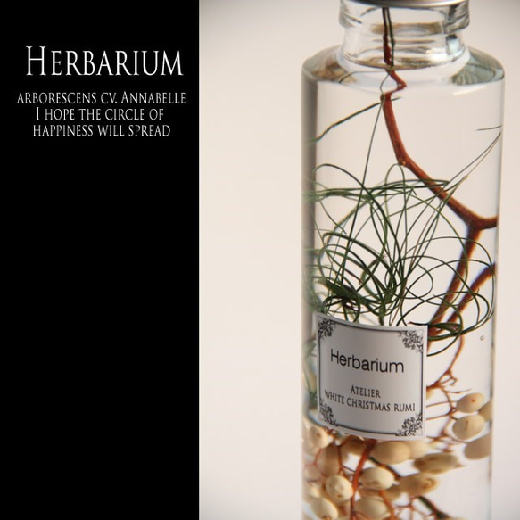 ペッパーベリーの可愛い実の世界ｗ/ハーバリウム 1枚目の画像
