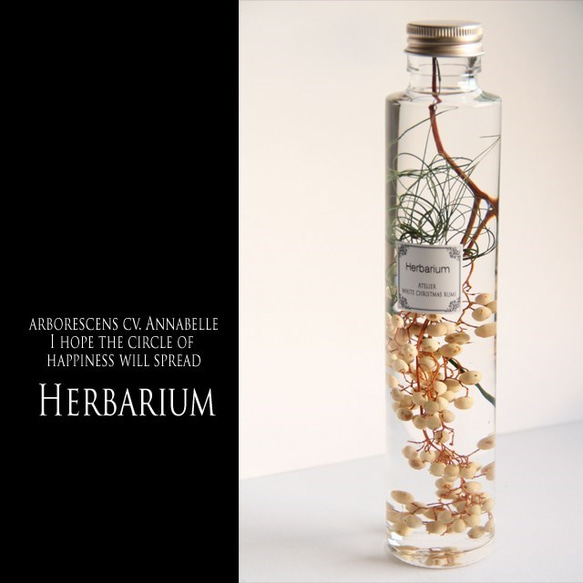 ペッパーベリーの可愛い実の世界ｗ/ハーバリウム 2枚目の画像