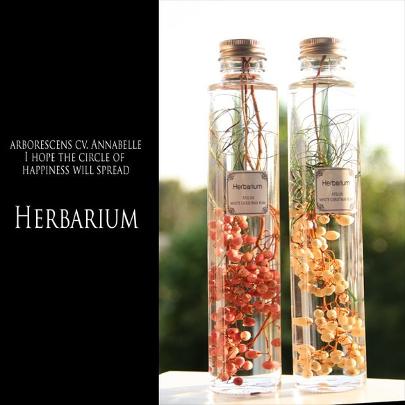 ペッパーベリーの可愛い実の世界ｗ/ハーバリウム 4枚目の画像