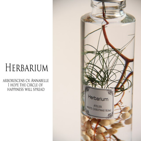 ペッパーベリーの可愛い実の世界ｗ/ハーバリウム 8枚目の画像