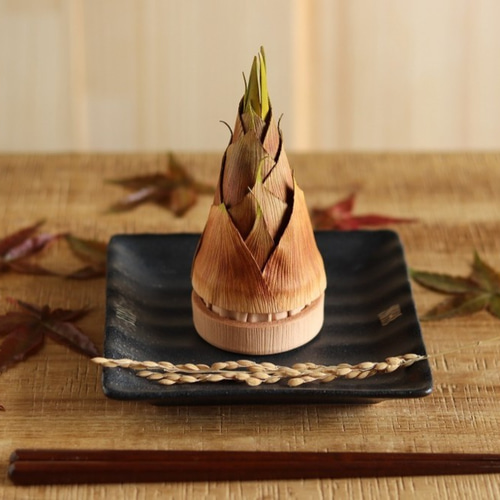【専用出品】時代提物(根付)2点おまとめ「かぐや姫」「福助」 Amazon.co.jp: かぐや姫と絵巻の世界: 一冊で読む竹取物語訳注付