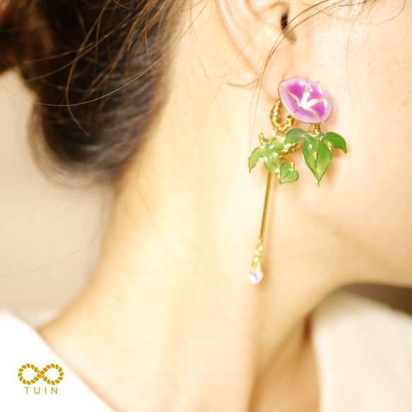 ﹝現貨﹞夏季限定商品 /朝顏 / 牽牛花 (此為販售右耳單只賣場) 第1張的照片