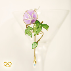 ﹝現貨﹞夏季限定商品 /朝顏 / 牽牛花 (此為販售右耳單只賣場) 第4張的照片