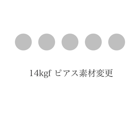 14kgf ピアス素材変更 オプションページ 1枚目の画像