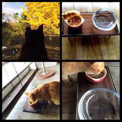 猫ちゃん専用テーブル【サイズオーダー可】 4枚目の画像