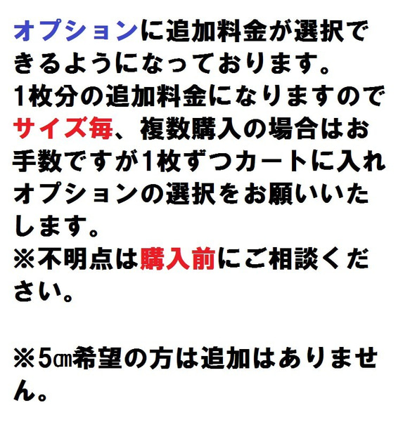  第7張的照片