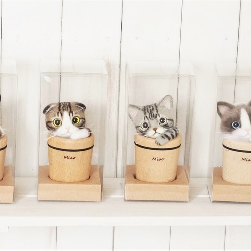 コップ猫＊スコティッシュフォールド＊羊毛フェルト 羊毛