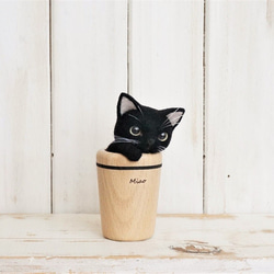 杯貓*黑貓 第2張的照片