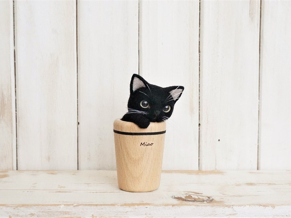 杯貓*黑貓 第2張的照片