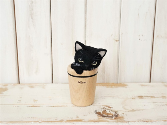 杯貓*黑貓 第3張的照片