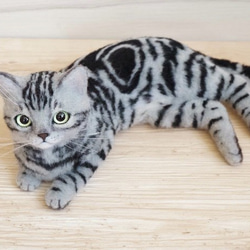 羊毛フェルトの猫＊アメリカンショートヘア 2枚目の画像