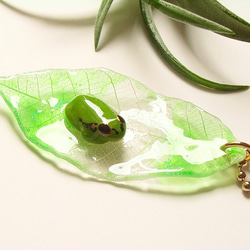雨蛙と透明な葉っぱのバッグチャーム 3枚目の画像