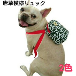 ペット服・アクセサリー のおすすめ人気通販｜Creema(クリーマ