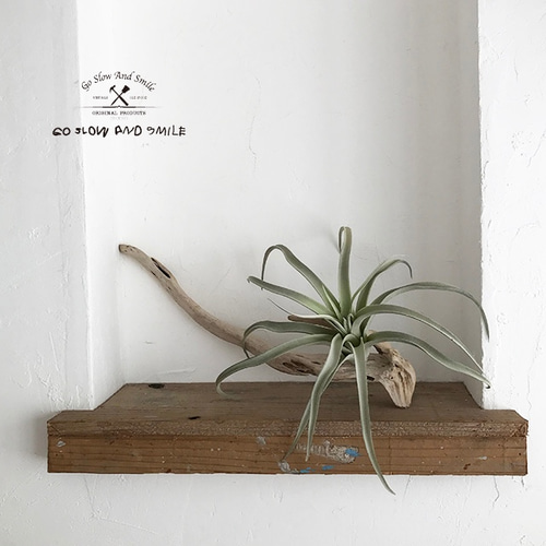 流木インテリア 流木グリーン グリーンインテリア フェイクグリーン