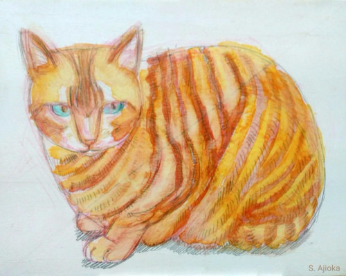 F0号◇猫◇新品【パステル＋水彩＋色鉛筆＋アクリル】◇防水丁寧