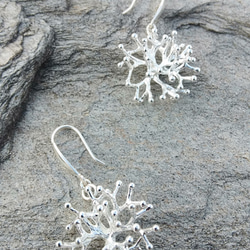 珊瑚印象 - 925銀 珊瑚耳環 第2張的照片