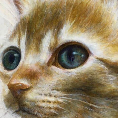 オーダー うちの子ページ 油絵専用 絵画 Cat 