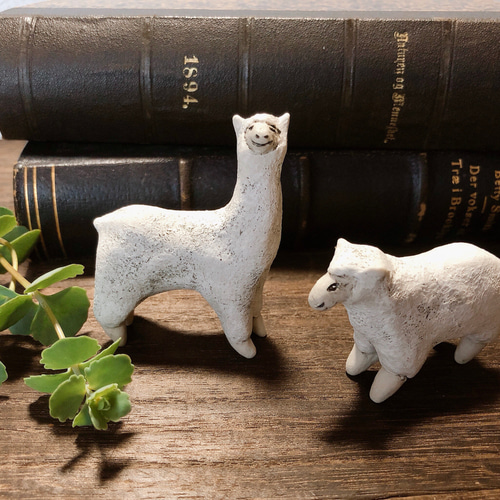 作家　羊 羊と山羊 作家の器と植木鉢 (@hitsujitoyagi) • Instagram