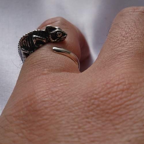 カメレオンリング（女性用） 指輪・リング ｼﾙﾊﾞｰｱｸｾｻﾘｰ TASUKU