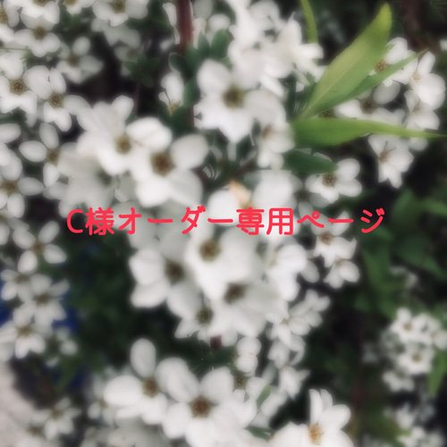 ククル様♥オーダーページ C様オーダー品 その他ファッション 夢日記 通販 12681332