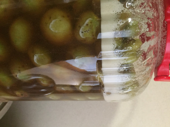 　自然栽培　うめ酵素シロップ 　無農薬　　かき氷　　手作り　大分県臼杵産（500ml） 8枚目の画像