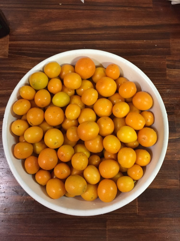 金柑のマーマレードジャム　大分県産フルーツ使用の手作り　 4枚目の画像