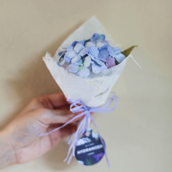 Tiny Bouquet, Blue Sky Hydrangea 1枚目の画像